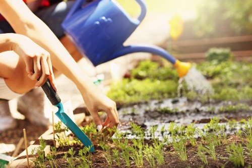 Soft landscaping with planting and turfing in a Shepherds Bush garden