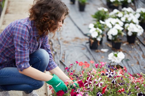 Secure payment illustration for Landscaping Shepherdsbush services