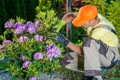 Digital performance monitoring dashboard for a landscaping website
