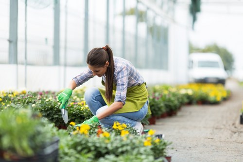 Liability and service responsibility terms for landscaping work