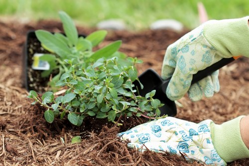 Supervised landscaping site with clear walkways and traffic awareness