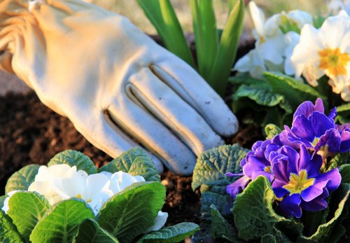 Charity reuse partnership collecting donated garden materials