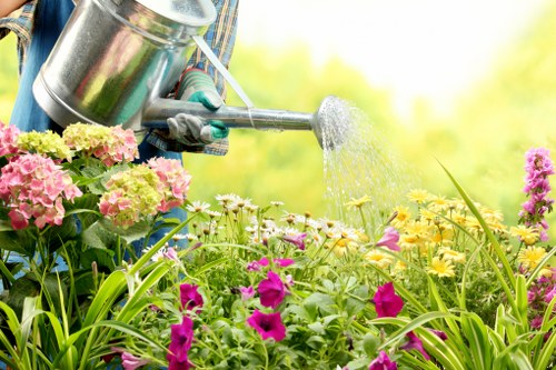 Cookie settings and website analytics concept for Landscaping Shepherdsbush