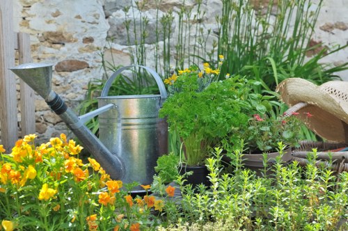 Low-maintenance planting scheme for a Shepherds Bush property