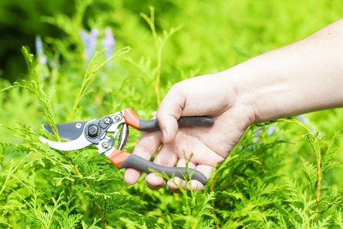 Image representing screen-reader friendly landscaping content in Shepherdsbush