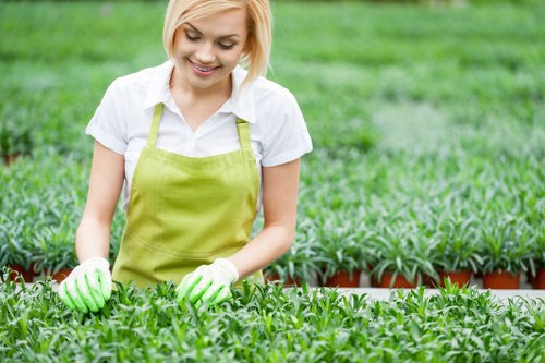Professional groundwork and lawn preparation for artificial grass