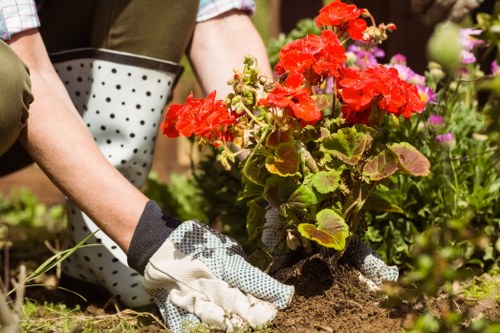 Image showing keyboard-accessible website navigation for landscaping services